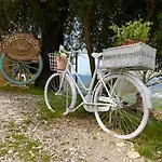 Antico Leccio Green Coppe