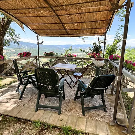 Antico Leccio Green * Coppe