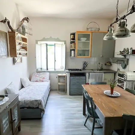 Antico Leccio Green