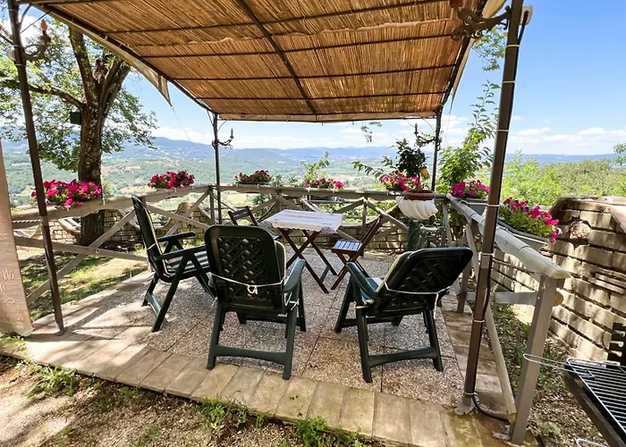 Antico Leccio Green * Coppe